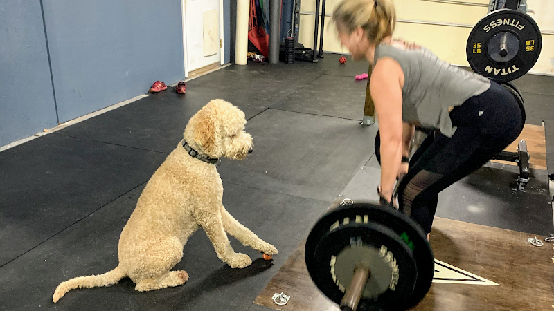 Photo of Vigorate Training & Fitness