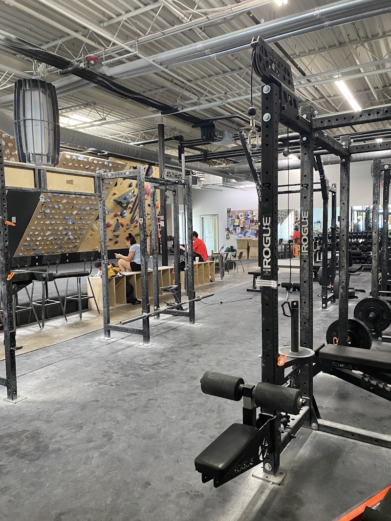 Photo of Cultivate Climbing - The Bunker