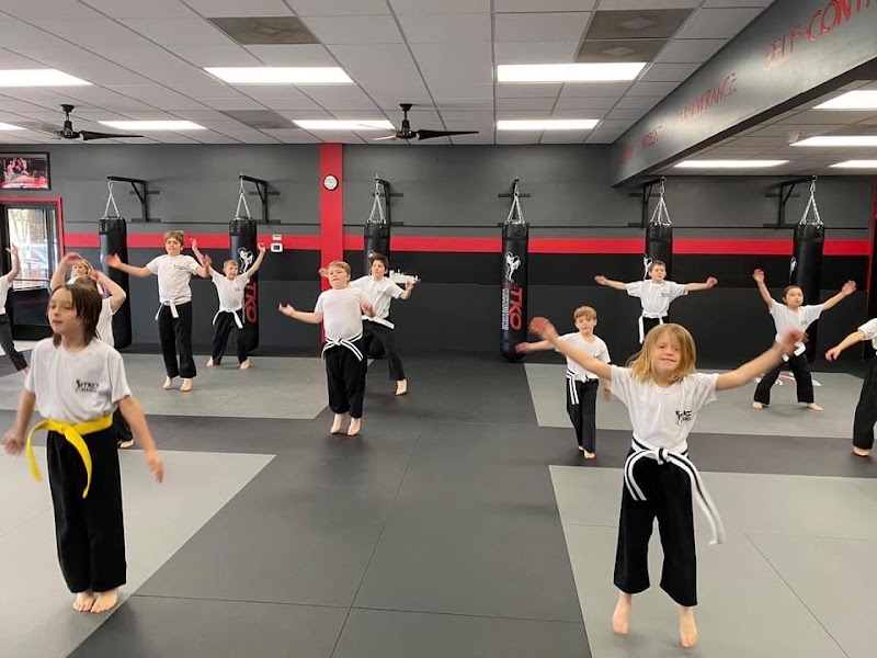 Photo of Thai Kickboxing Organization (TKO)
