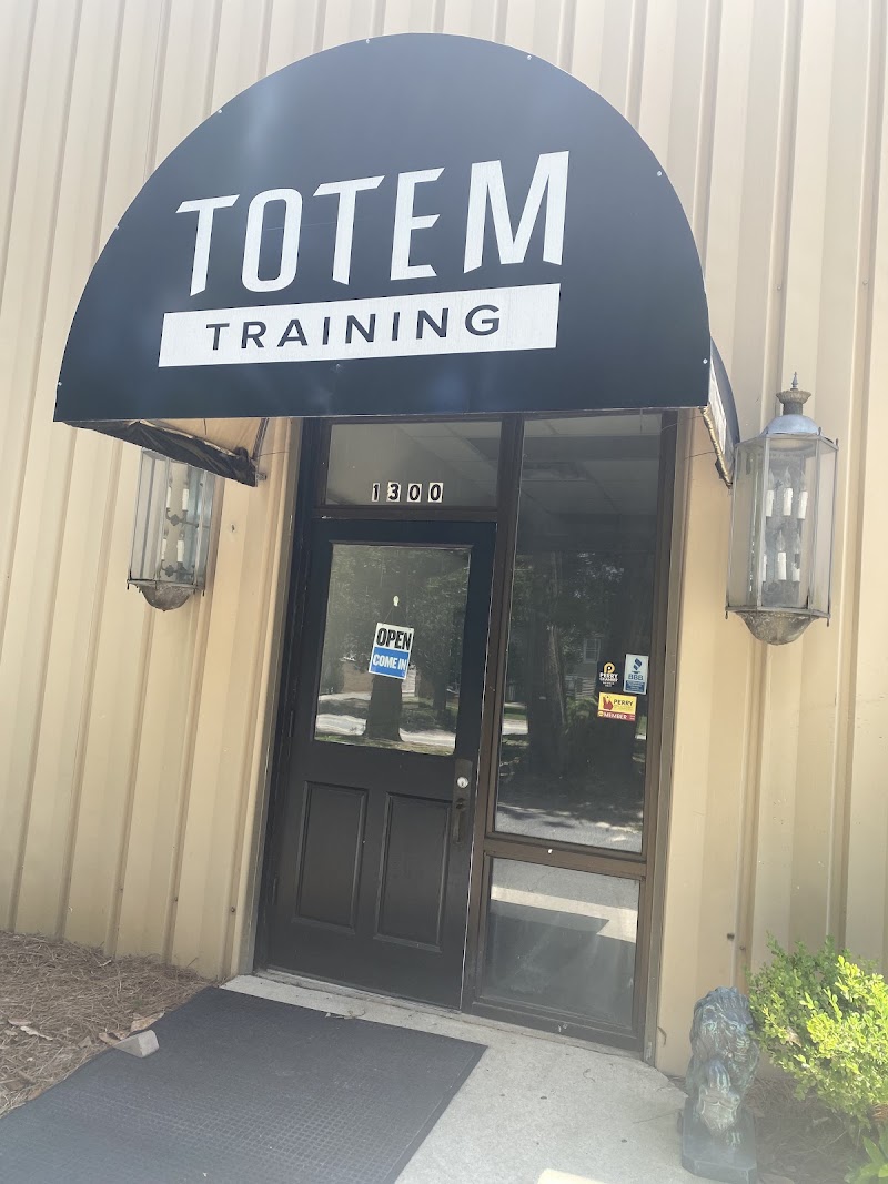 Photo of Totem Training