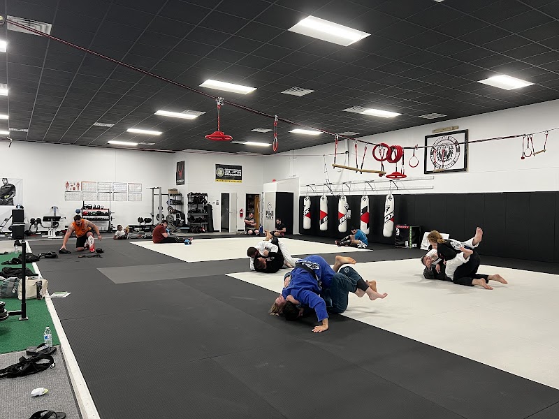 Photo of Lionheart MMA & Fitness