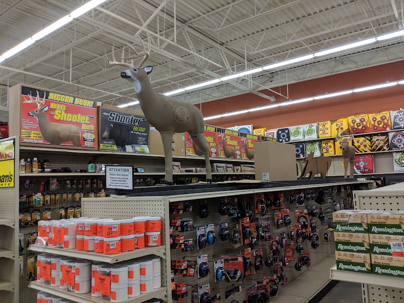 Photo of Dunham's Sports